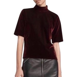Velvet Mock Neck